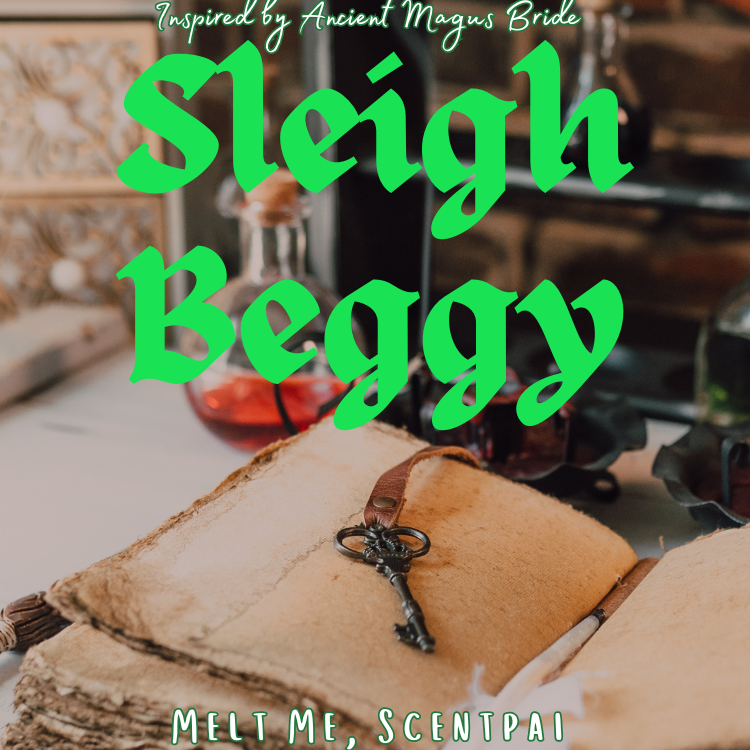 Sleigh Beggy