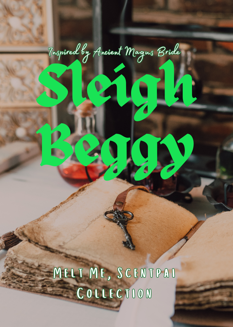 Sleigh Beggy
